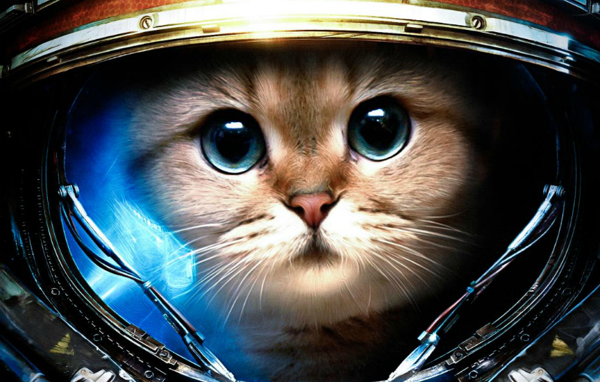 "Кот - второй пилот" устроил космическую аварию в Elite Dangerous "Кот - второй пилот" устроил космическую аварию в Elite Dangerous